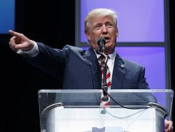 WP: ����� ��� ������������� ����������� �������� ��������� � ������������ ���� ������