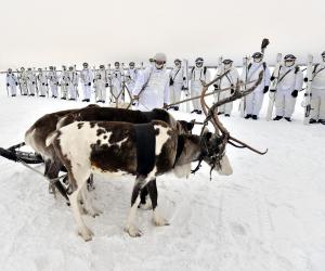 ���������� ������ � ������� ����������� ���������� ���