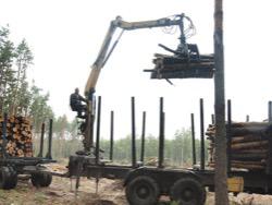 ������ ��������� �� ������� ����-�������� � ������� ��� ��������� ������� 600 ��� ����