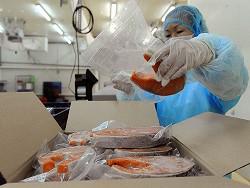 ������������ ������� ��� ��������: ������� ��������� ������ ��������� ��������� �������