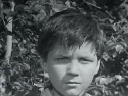 ������� ������ � ��������, ���� � �������