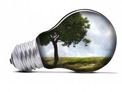 ������� �������������� � �������� ����������� ����������� �����-�������