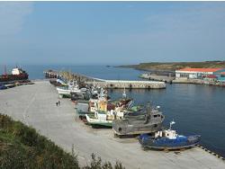 ������� ��������� �������� ���������� �� ������