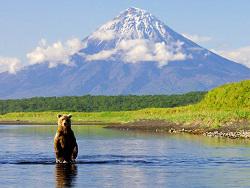 ����� ����������� ��� ��� ������ ���������������� ������� �������� �� ��������