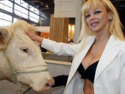 ��������� � ���������� ������� ������� �� ����������� ����������