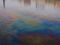 В Хабаровске после разлива нефтепродуктов на Амуре завели дело