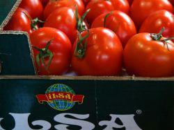 ������ �������� ������ ����� �������� �����