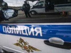 В Петербурге конфликт владельцев собак закончился поножовщиной