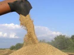 ����� ������������ ���� ����������� �������� � ��