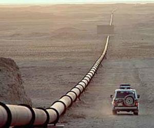 � ���� ���� ������� ��������� ������� ����� � ������ �� 60%