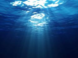 �������� ����� �������: ���������� ������ �� ��� ����