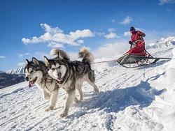 ������� ���: ������ ����� ������� ������� ���� � ��������� ��������� ���������� � ������