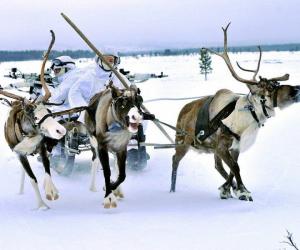 ������ ����� ������� ������