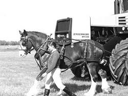 ������ ������ �����: ��� ��������� ��������?