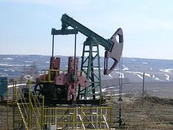 ���� �� ����� ������ �� ���� ���������� �������� �� ������� �����