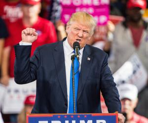 ���� �� �����: ����� �������������� ������ ��������