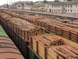 ������� ��� ���, � ������� ������. ���� �������� ������� ���� ��� �������