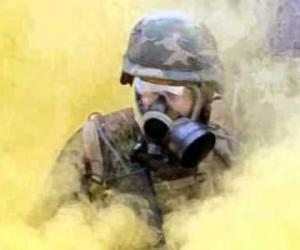 ������ ����������: �������� �������� ������� � ���� ��������� � �������� � ������