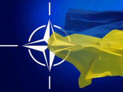 ����� ���� ������� ��� �������� �������