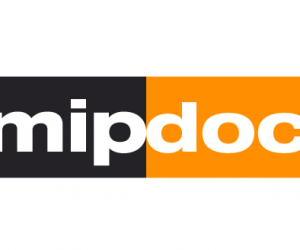MIPDOC 2017:     ,  ?