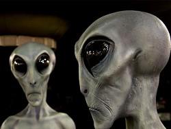 ���-�������� ���: ������ ��� ������ � ������� ���� �����������