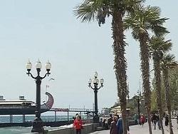 ������ ��������� � ������� �������� ������������� �����������������