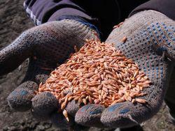 ������� �������� � ����� ������ ����� � ����