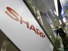 Sharp    Innolux  OLED-
