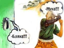 ���� ������ �������