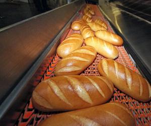 ������� ����� ����������� �������� ���������� ����������� ���������