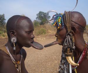 ������� ������� � �������� ������� ����� � $160 ���