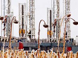 ����� ��������� ���