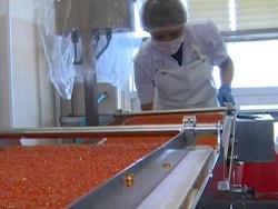 ���������� ���� - ������ �� �����������: � ����� ���� ��������������