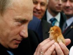 ��������� ������� � ������: ��������� �����������