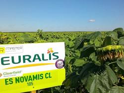 ����� ����� ����� ������: � ������ ������ ������ � ������������� �����