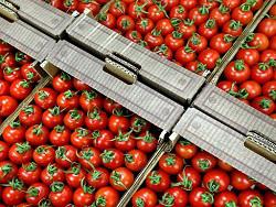 �������� �����, �������� ��� ��� ����, �������� � ����� ����