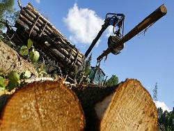 ������ �������� �� ������ �����