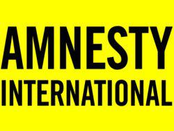 ���� ������ ���������� �� Amnesty International