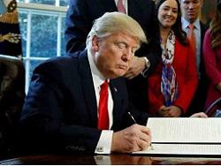 ������ ������ ������� ����: � ������ ���� ������� ��� ����