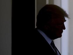 WP ������������ ������ ���� ������ �������������� � ������ ������ � ��