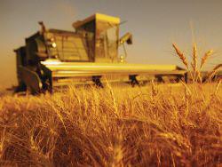 ���� � ����������: ��� �� ����� ���� ������� ���� � �������� ���������?