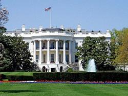 � ����� ���� ���������� � �������� ������� ����� ��� �� ������ ��-�� ������