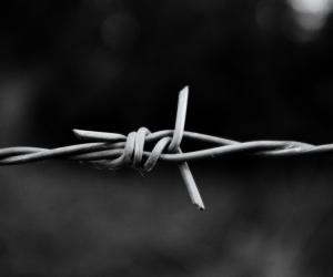 ��� �����, ���� �������� ������ ���� � �������