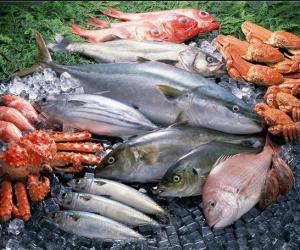 �������� � 15 ��� ��������� �������� ��������� ���� �� ���������� �����