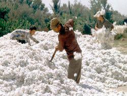 ������ ���������� �� ����� ���������� �� ���������� ���������