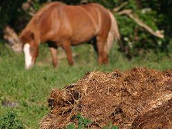 �������� ���� ����� ������ � �� ����� � �����