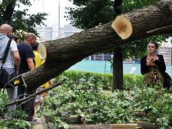 ���������: � ������ ������ ������ 4-� ������