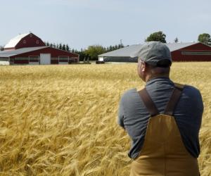 �������� �������: ��� �� ����� ���� ������ ���������� ������� � ��