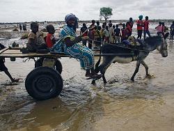 ������ ����� �����