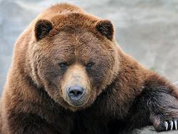 �� ������� ������? ����� �� ��� � ���.